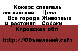 Кокерс спаниель английский  › Цена ­ 4 500 - Все города Животные и растения » Собаки   . Кировская обл.